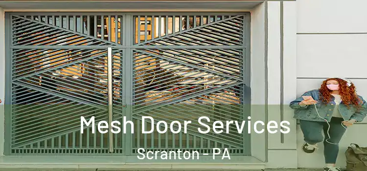 Mesh Door Services Scranton - PA